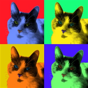 Pop Art 4 Panels Portrait from Photo