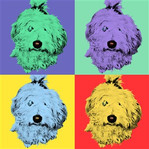 Pop Art 4 Panels Portrait from Photo