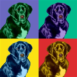 Pop Art 4 Panels Portrait from Photo