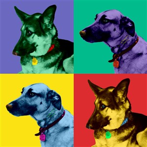 Pop Art 4 Panels Portrait from Photo