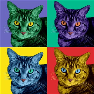 Pop Art 4 Panels Portrait from Photo