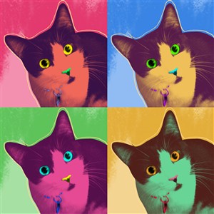 Pop Art 4 Panels Portrait from Photo