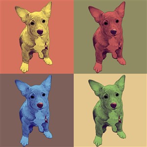 Pop Art 4 Panels Portrait from Photo