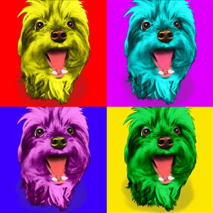 Pop Art 4 Panels Portrait from Photo