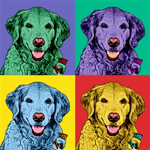 Pop Art 4 Panels Portrait from Photo