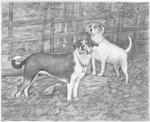 Hand Drawn Pencil Portraits from Photos | Pencil Portrait Drawing | Pencil Sketch Artists