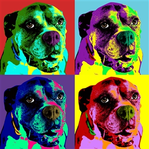 Pop Art 4 Panels Portrait from Photo