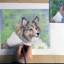 colorpencil-dog