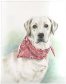 Hand Drawn Colored Pencil Portraits from Photos | Colored Pencil Drawings from Photos