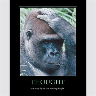 Thought - myDaVinci