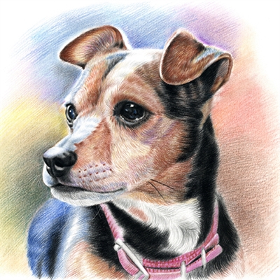 Hand Drawn Colored Pencil Portrait of A Cute Brown Dog,by myDaVinci - myDaVinci