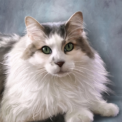 Oil Painting Giclee of A White and Gray Cat from Photo,by myDaVinci - myDaVinci