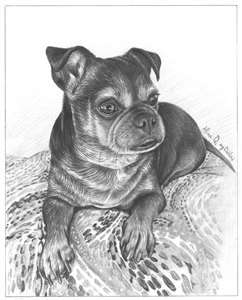 Hand Drawn Pencil Portraits from Photos | Pencil Portrait Drawing | Pencil Sketch Artists