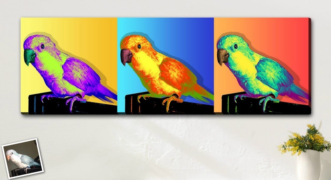 Pop Art 3 Panels from Photos | myDaVinci