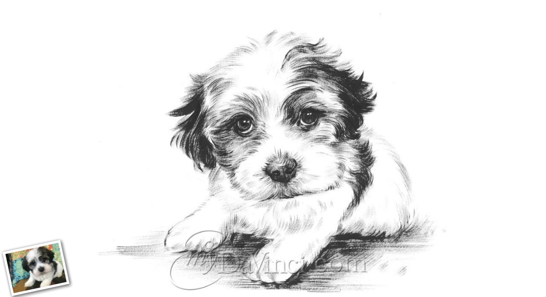 Hand Painted Ink Rendering of A Cute Dog,by myDaVinci | myDaVinci
