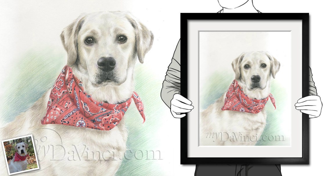 Hand Drawn Colored Pencil Portrait of A White Dog from Its Photo,by myDaVinci | myDaVinci