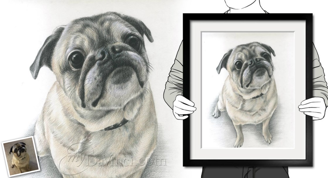 Hand Drawn Color Pencil Sketch from Photos | myDaVinci