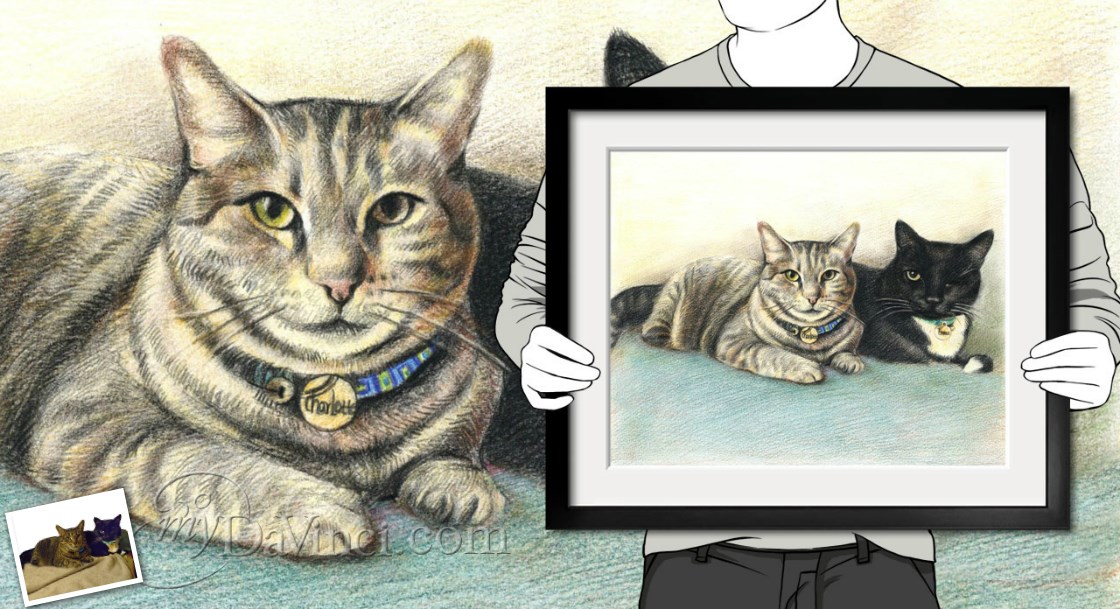 Hand Drawn Color Pencil from Photos | myDaVinci
