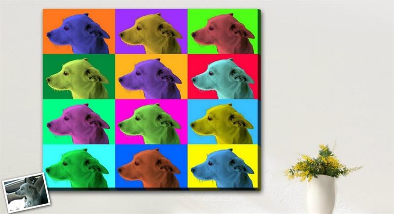Pop Art 12 Panels from Photos | myDaVinci