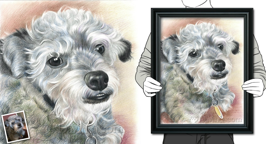 Memorial Color Pencil Portrait of A Long Fur Dog,by myDaVinci | myDaVinci