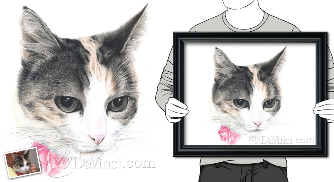 Hand Drawn Color Pencil Sketch from Photos | myDaVinci