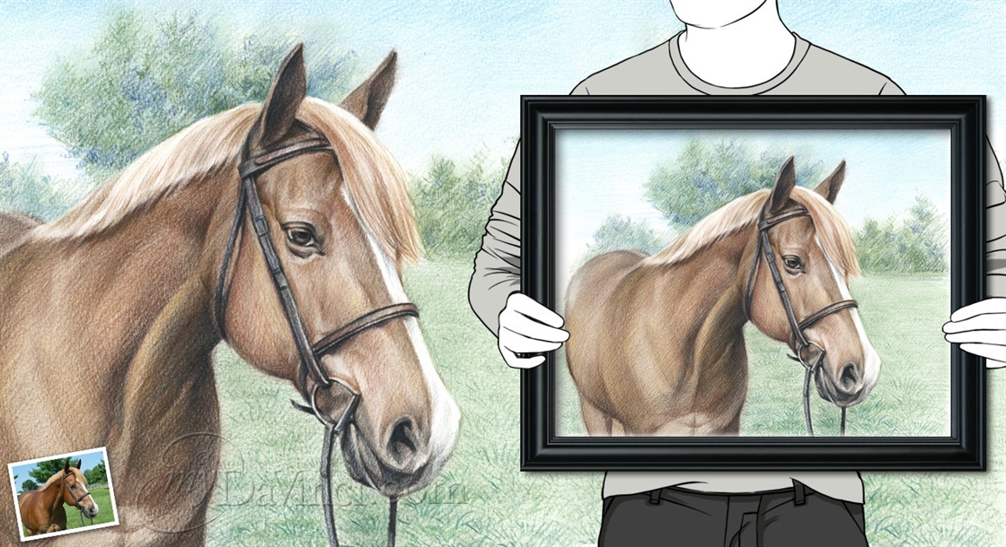 Hand Drawn Color Pencil Sketch of A Brown Pony from Photos | myDaVinci