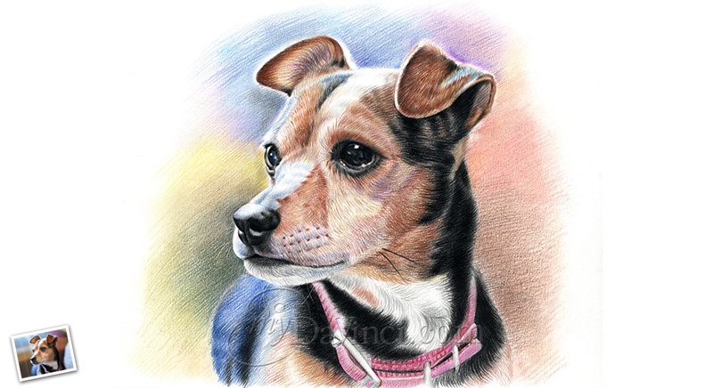 Hand Drawn Colored Pencil Portrait of A Cute Brown Dog,by myDaVinci | myDaVinci