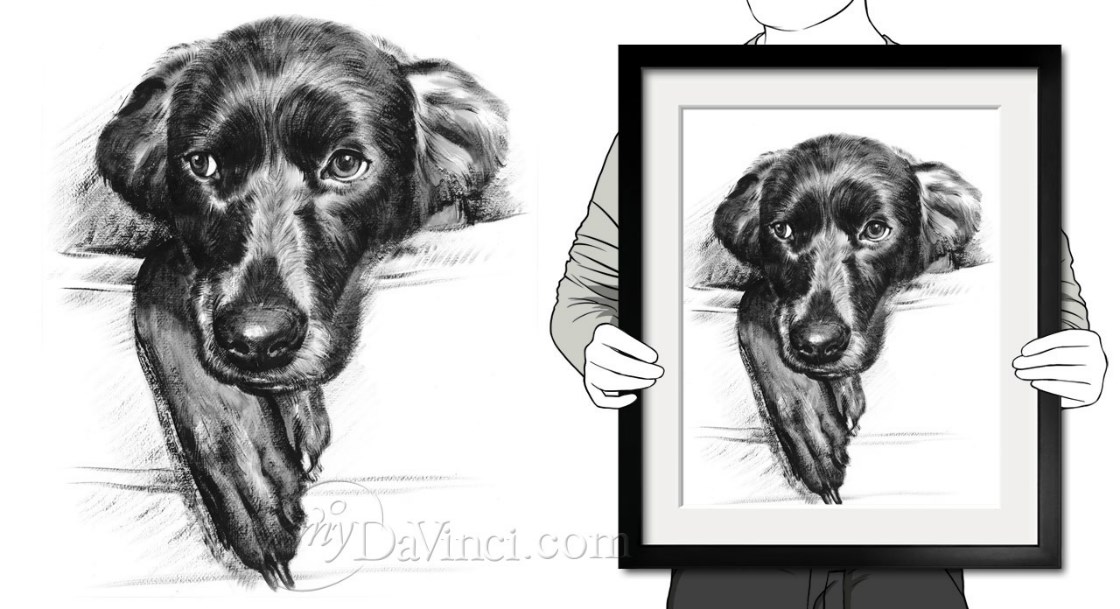 Hand Painted Ink Rendering Dog Portrait from A Headshot Photo, Black and White,by myDaVinci | myDaVinci
