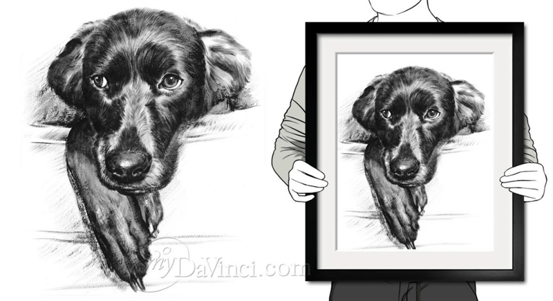 Hand Painted Ink Rendering Dog Portrait from A Headshot Photo, Black and White,by myDaVinci | myDaVinci