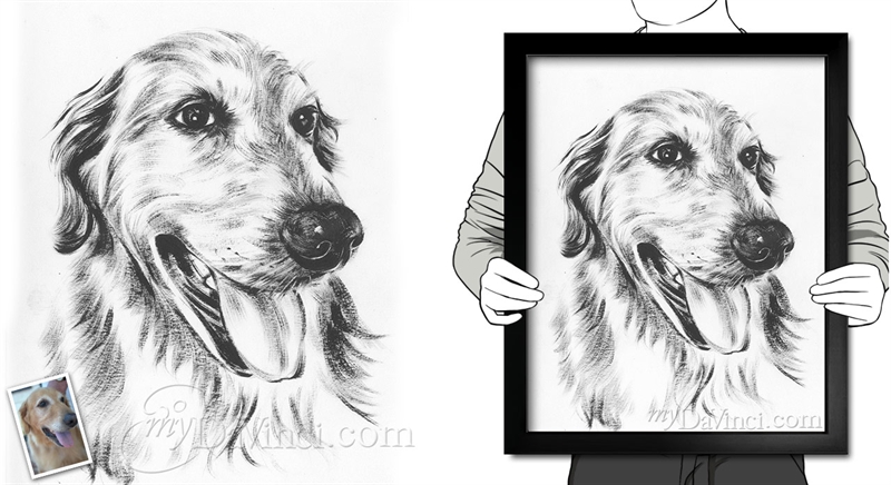 Hand Painted Ink Rendering Portraits from Photos | myDaVinci