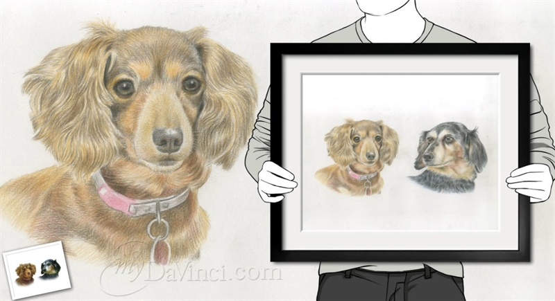 Hand Drawn Color Pencil Sketch from Photos | myDaVinci