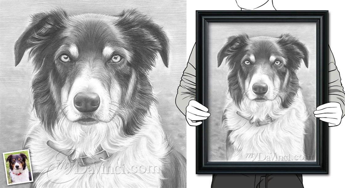 Hand Drawn Pencil Sketch Dog Portrait from Photo,by myDaVinci | myDaVinci