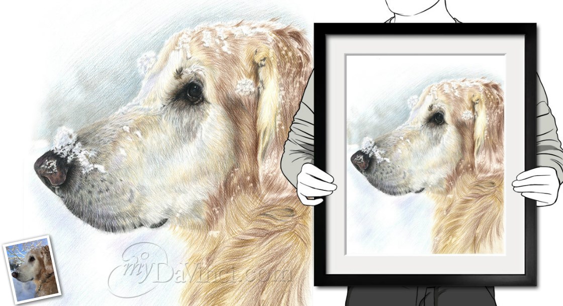 Hand Drawn Color Pencil from Photos | myDaVinci