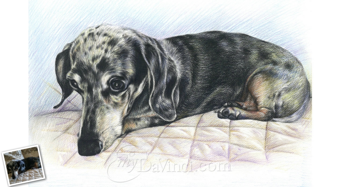 Hand Drawn Color Pencil from Photos | myDaVinci
