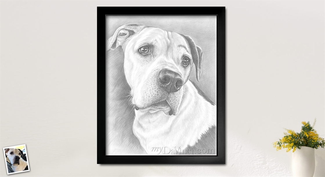 Hand Drawn Pencil Sketch Portrait of A Dog from A Photo,by myDaVinci | myDaVinci