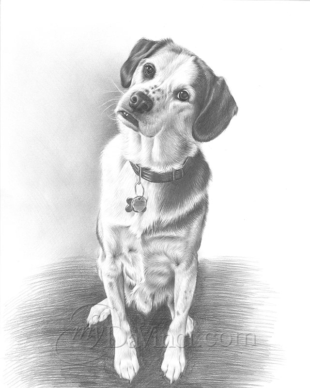 unique animal pencil drawings