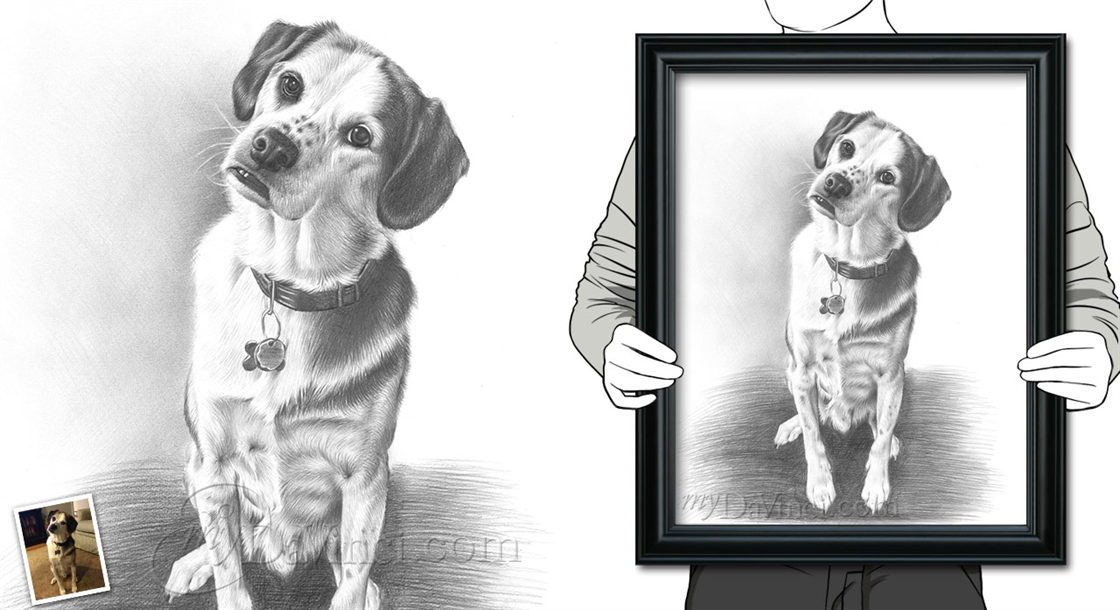 Hand Drawn Pencil Sketch Portrait of A Dog from A Photo | myDaVinci