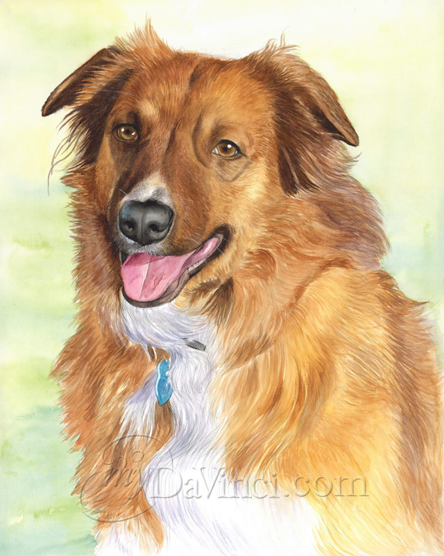 Watercolor Dog Portrait Express Delivery Worldwide Watercolor Pet Portrait Painted with Digital Brushes Unique Personalized Pet Gift